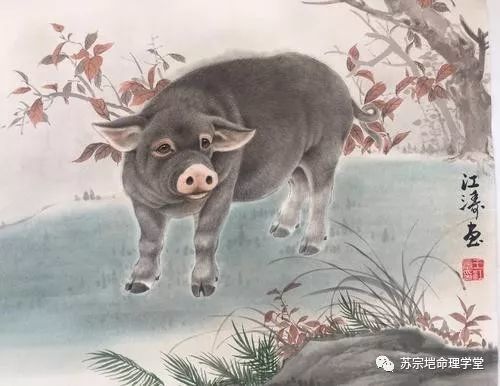 猪鼠牛十二月运势分析