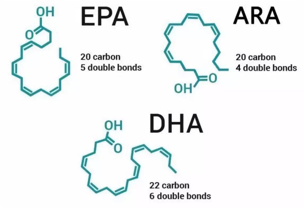 (例如epa和dha就属于Ω-3脂肪酸,即第一个不饱和键出现在3号碳原子上)