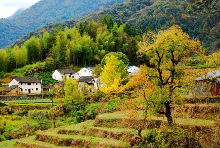 安徽隐藏了"小九寨",植被茂盛,被誉为"华东最后的原始森林"