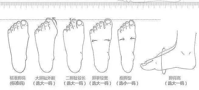 宽脚选鞋看它们就够了?