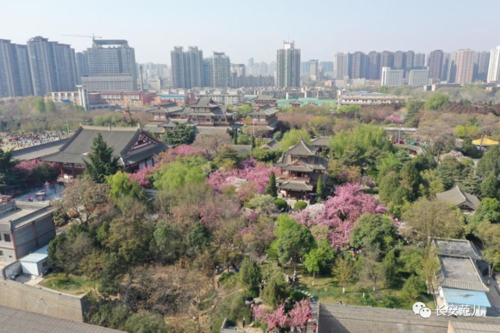 青龙寺组团改造效果图曝光,超有料!