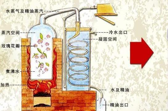 精油和精华液不一样 别混淆 3方面带你走进精油的世界 腾讯新闻