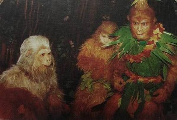 孙悟空第一个引路人是谁不是菩提祖师而是几只老猴子指引着石猴