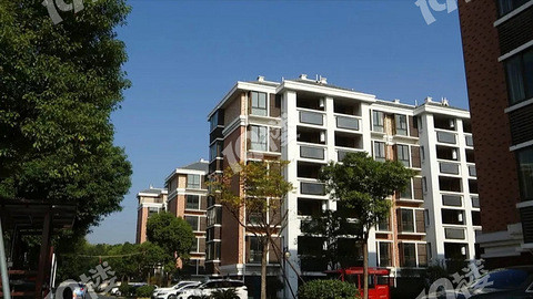 嘉兴某区一"花园公寓"只要8500?建设局局长强烈提醒:别买!