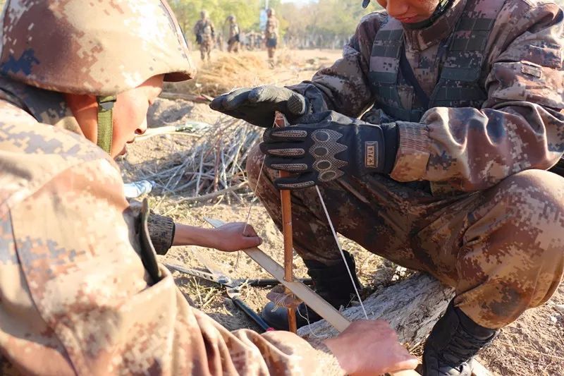 新兵版"荒野求生,不只有美食