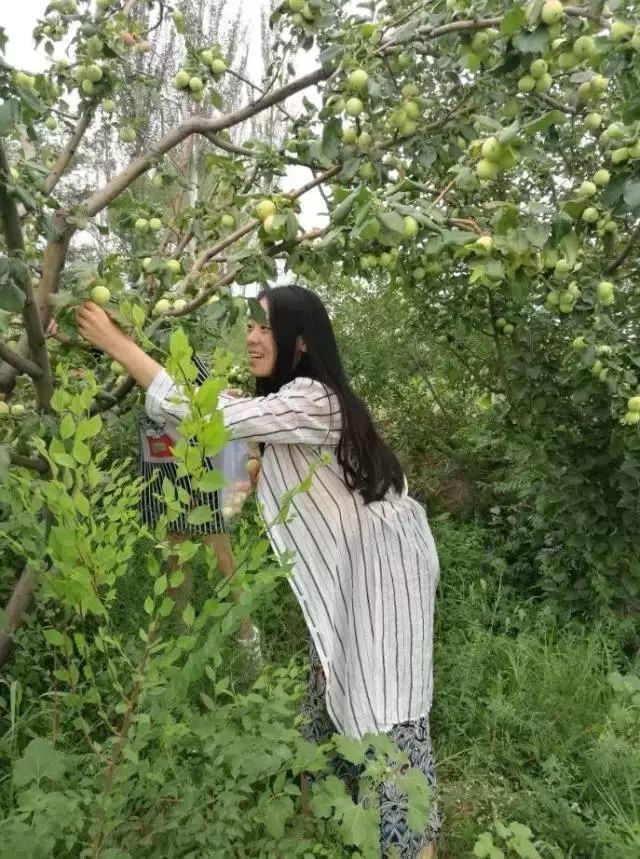 松山区大力发展经济林鼓起农民钱袋子 腾讯新闻