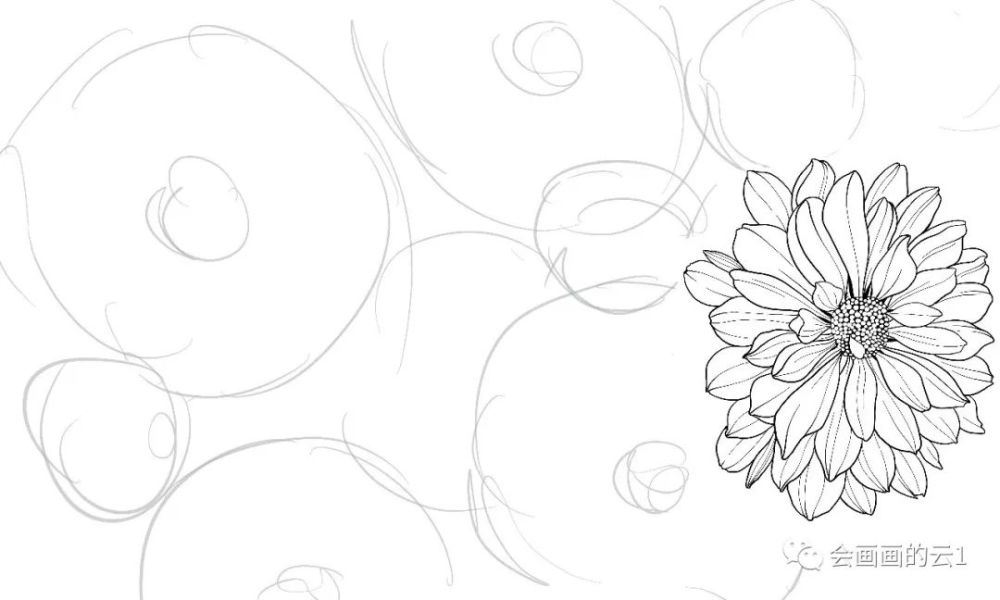 零基础线描画入门 分步骤讲解线描花卉 教程太给力了 快来临摹学习吧 腾讯新闻