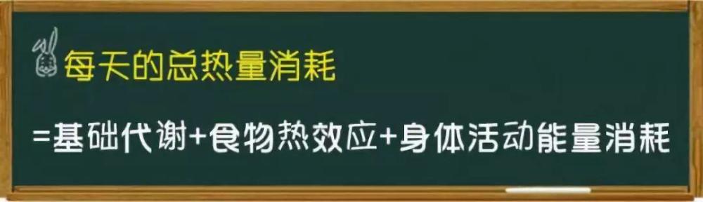 四周刷脂8斤 这份热量计算公式你一定要记住 腾讯新闻