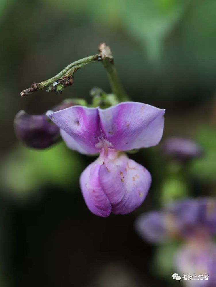 感觉错过了一个亿 不 两个亿 腾讯新闻