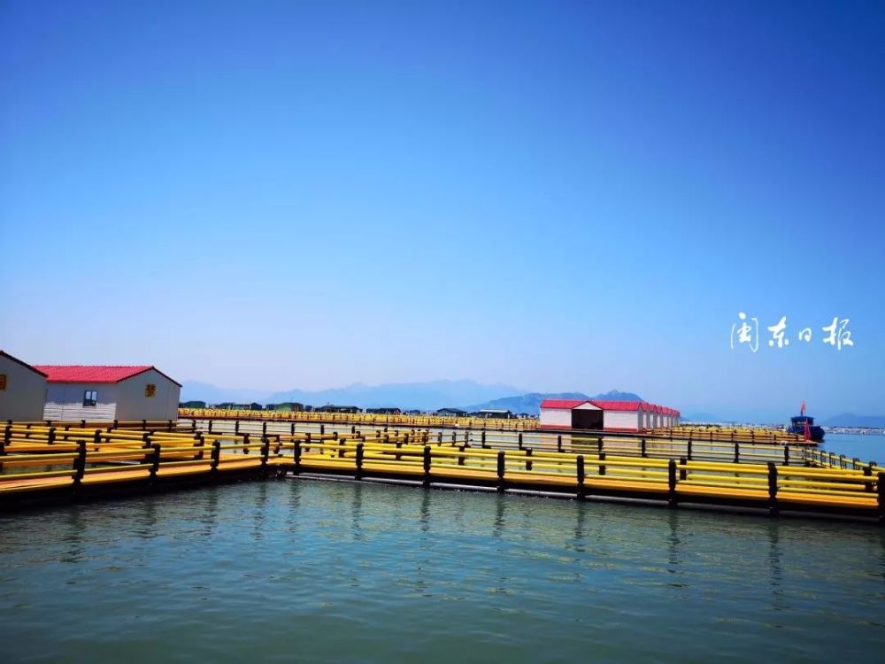 蕉城清海在行动构建新秩序