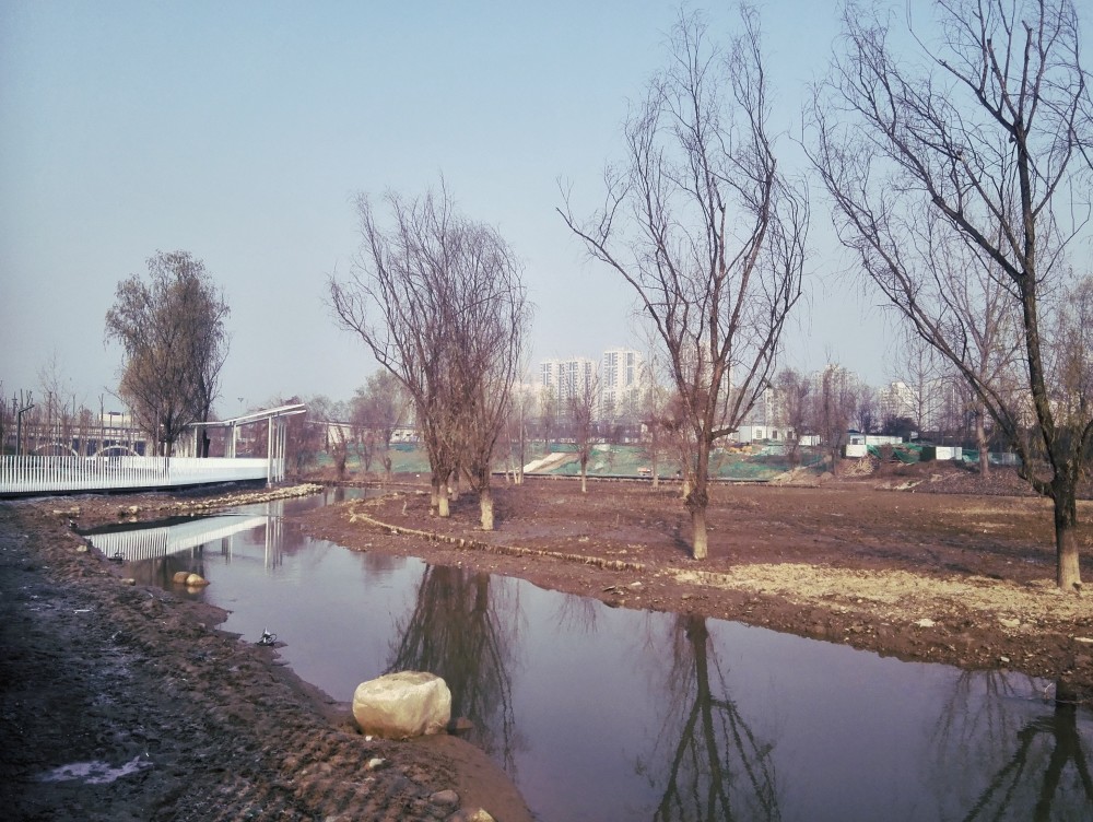 潏河湿地公园冬日晨景