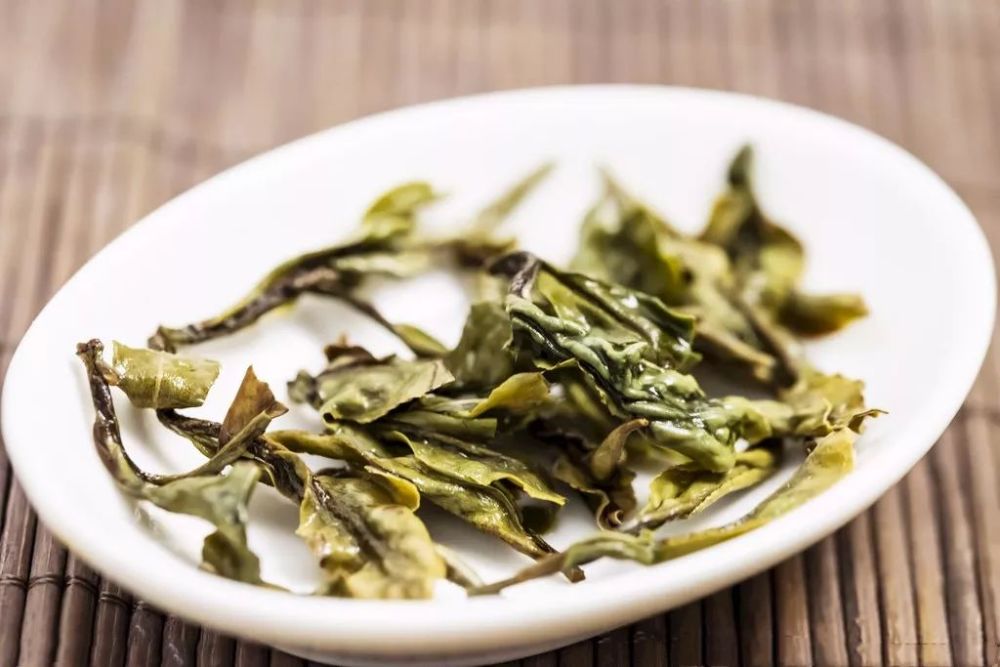 福鼎白茶—你喝老茶还是新茶？
