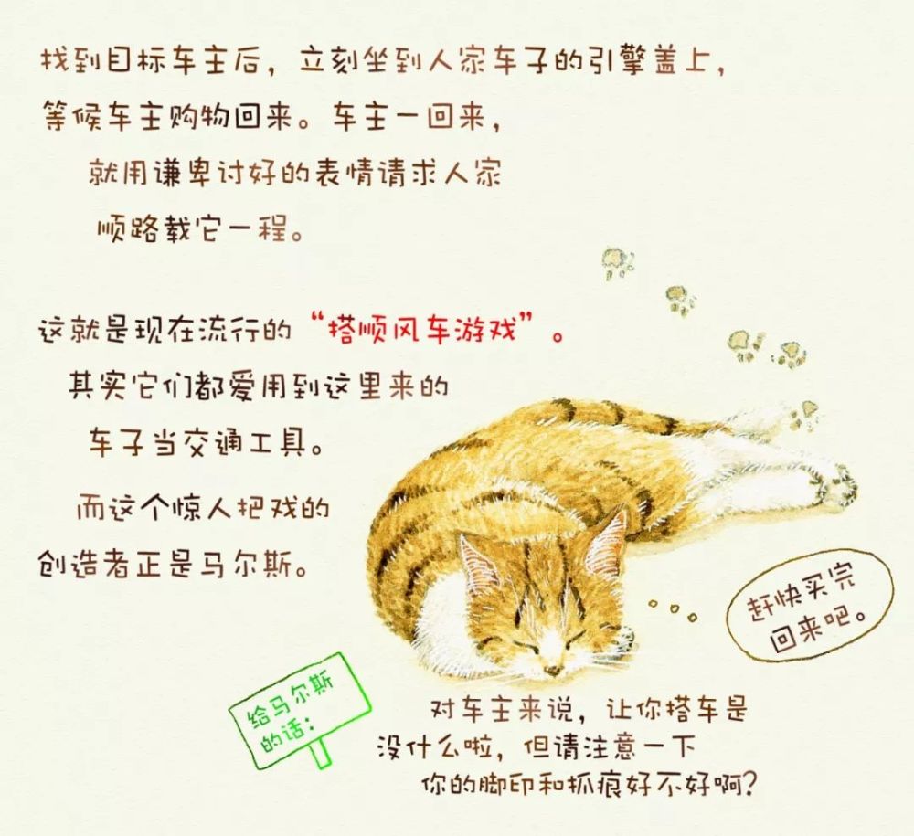 如果有一天 猫咪和人类同样享有法律权益 那么世界会变成 腾讯新闻