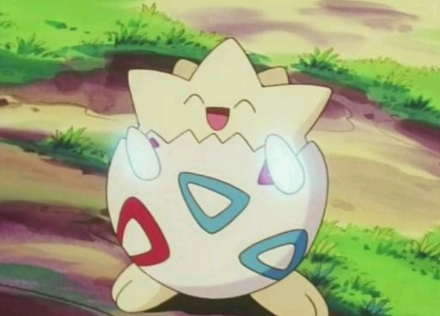 至于最后一只熊孩子,则是小霞手中的波克比,只不过它的熊孩子行为还算