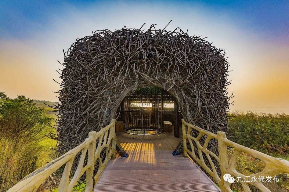 速看吴城候鸟小镇焕然一新喜迎2019鄱阳湖国际观鸟周观鸟宾朋