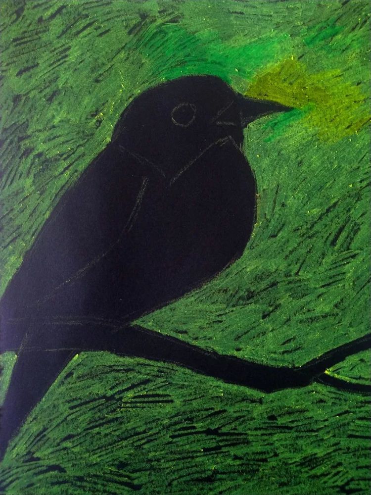 创意少儿美术课程分享:油画棒 黑卡纸《鸟》