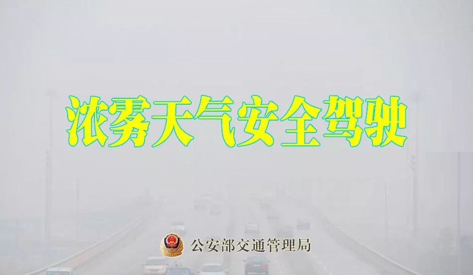 胡椒蜀黍提醒大家 大雾天气要避免不必要的出行 有