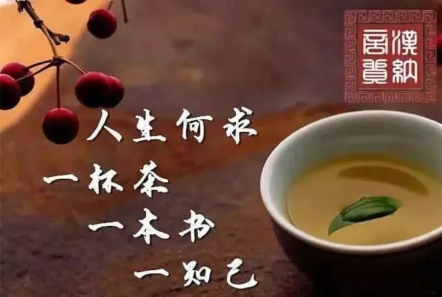 一杯茶,一本书,一个知己,一场人生_腾讯新闻