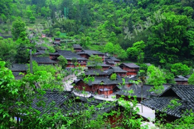 这个tv的节目在荔波录制有汪涵林依轮汪苏泷姜妍柳任何洁哦