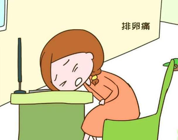 女人出现这 3个表现 说明要 排卵 了 想要宝宝的别错过机会了 排卵期 怀孕