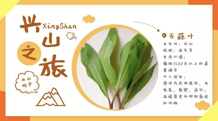 过去人们常作为药材使用,有发表,散寒,通阳的功效.