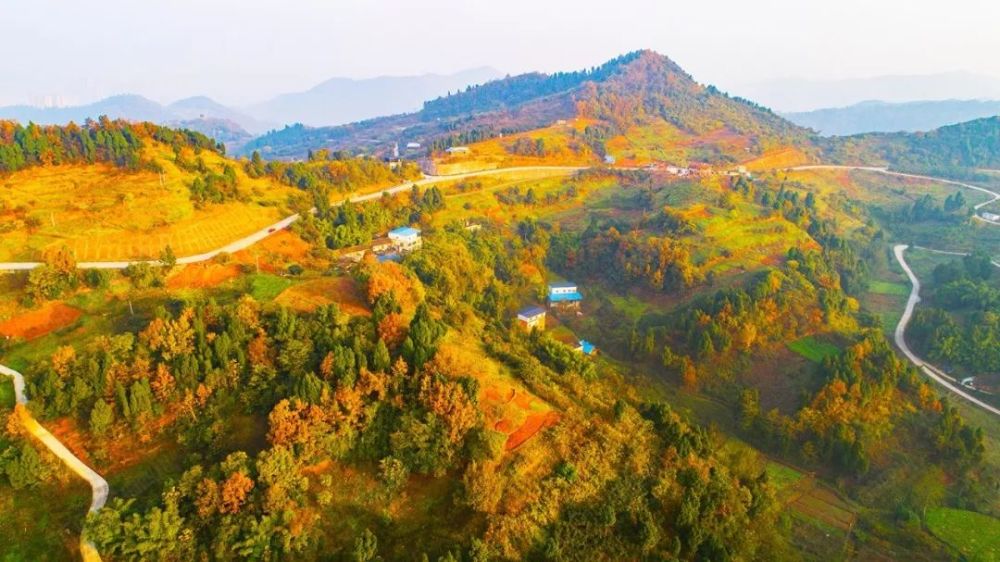 一片錦繡的龍泉山花林夾道,半山彩田大地相映成趣,多維度的景觀刻畫出