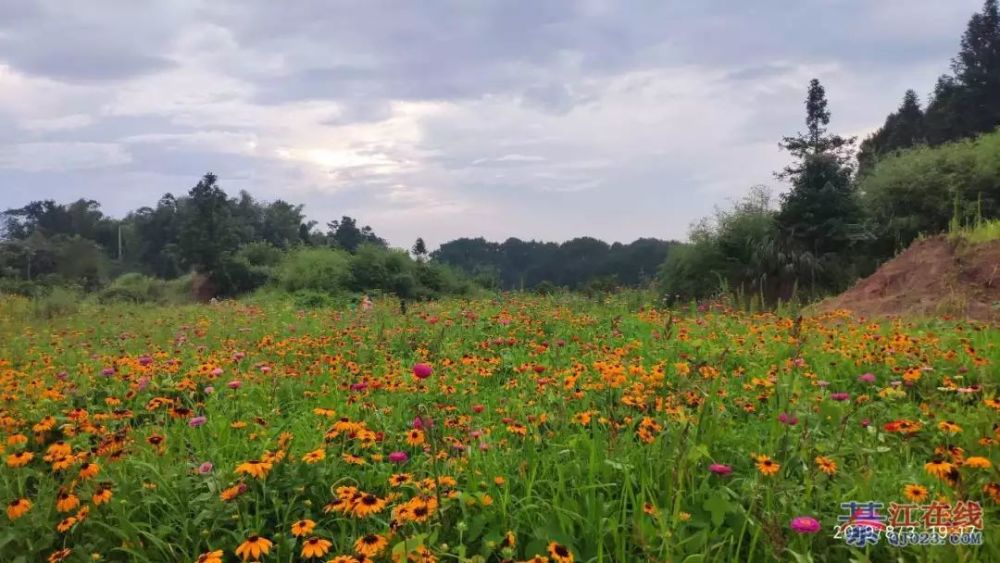 綦江高廟壩生態旅遊區位於綦江區郭扶鎮高廟村,南臨東溪新石村,西靠