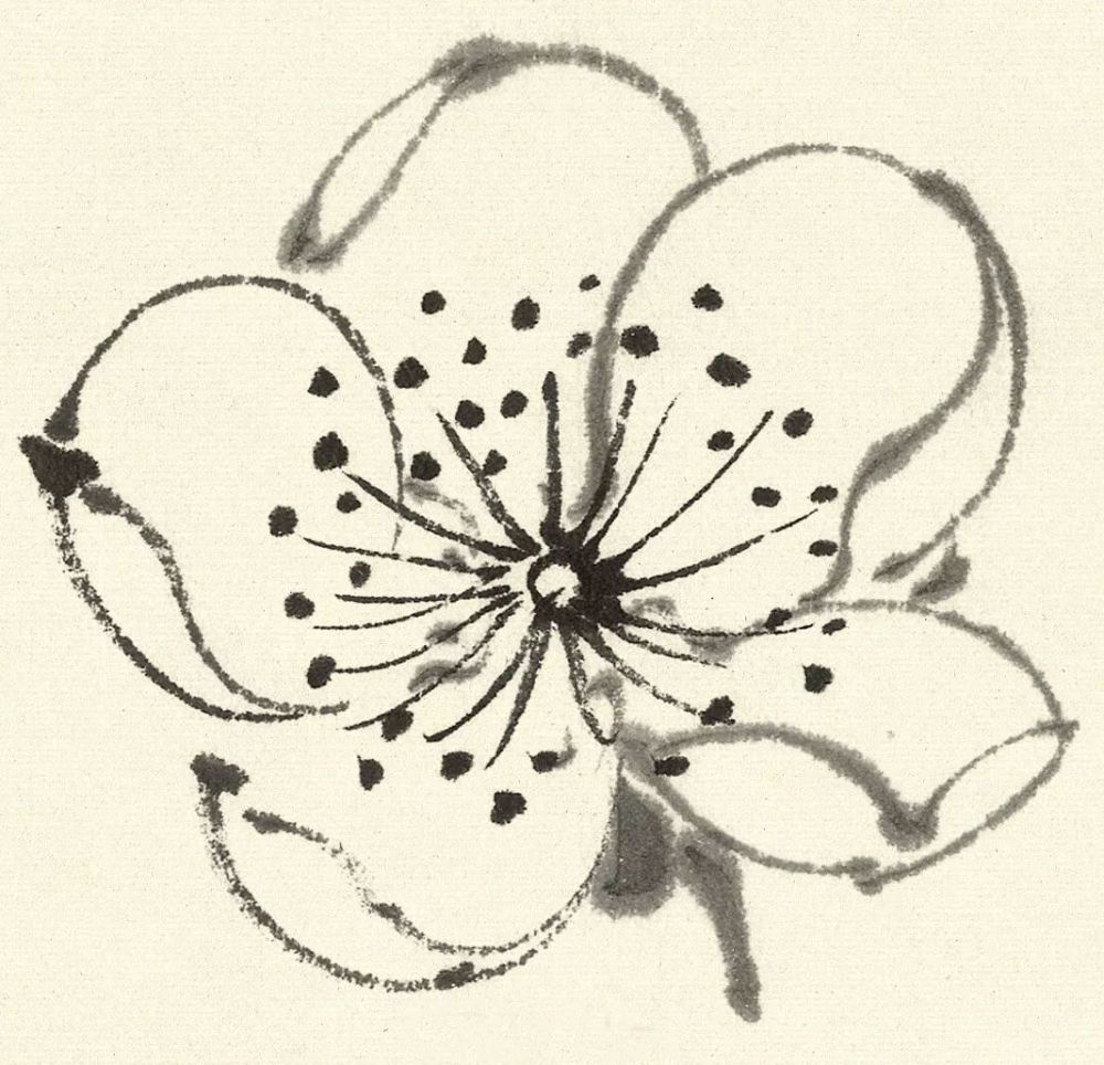 简单易学的水墨白梅画法_腾讯新闻