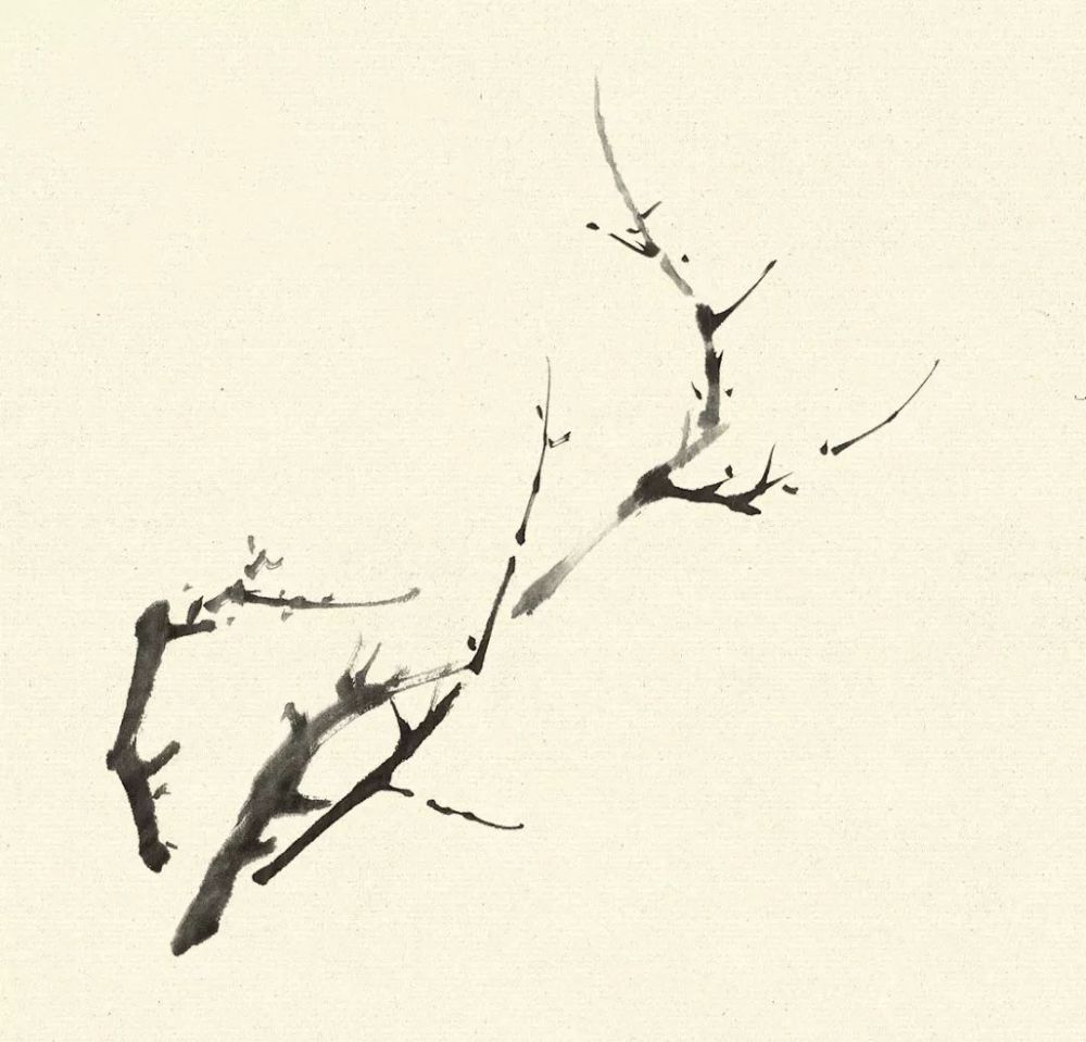 简单易学的水墨白梅画法
