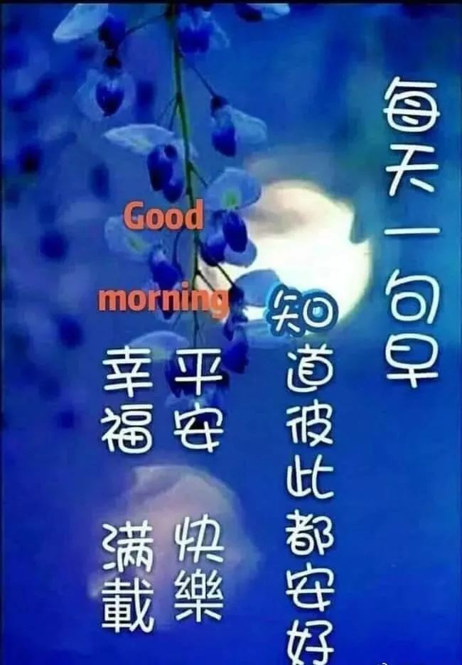 特别暖心早上好的句子早安问候语每日更新早上好问候精选漂亮图片