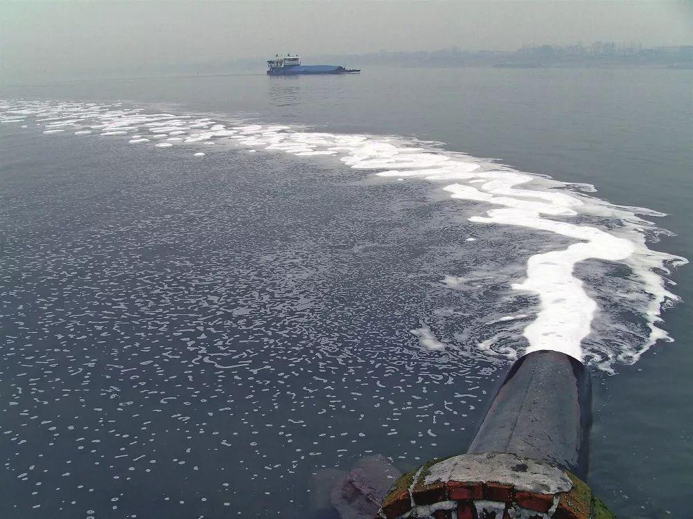 长江无鱼之困:再不保护"四大家鱼"基因库,中国人将无鱼可吃