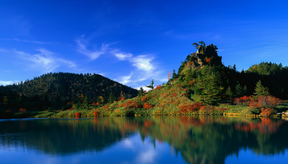 代价造句和解释 代价的例句有哪些 小孩子点读 腾讯新闻