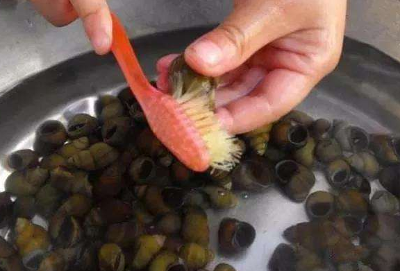 大排档老板洗田螺的方法,简单快速,再也不用吃到沙子了