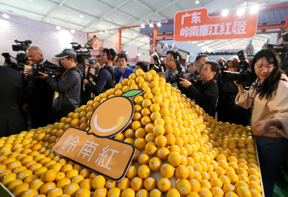 橙乡美:"爱情果"飘香廉江,你准备好赴约了吗?