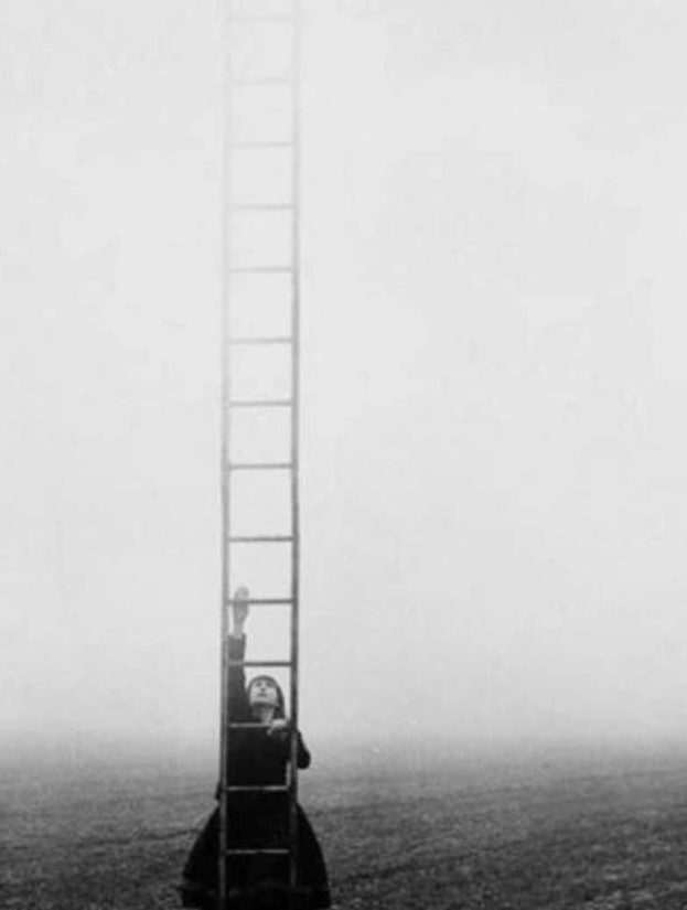 心理学 选择一个天梯 测出3年后社会地位 有人刚毕业就当老板