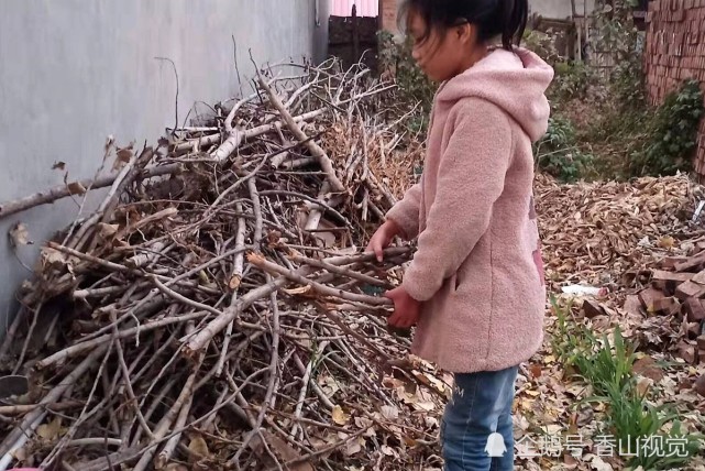 河南11歲女孩變身媽媽照顧弟弟洗衣撿柴做飯上學一樣不落