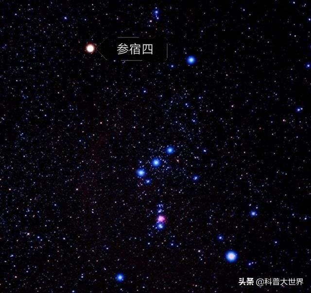 组成猎户座的几颗星体都很亮,最亮的是右下方的参宿七,光色偏向蓝色