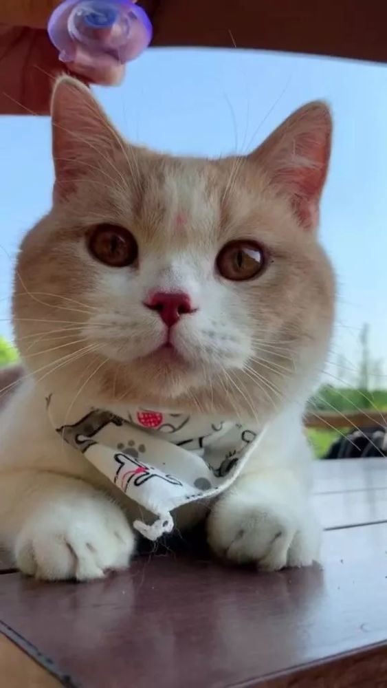 15句励志英语句子 总有一句激励着你 腾讯新闻