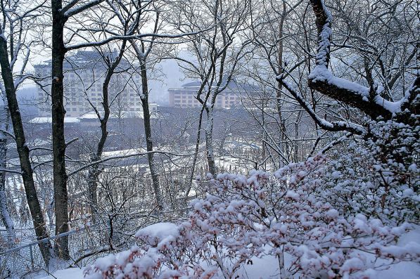 日本东北地区 是深藏不露的冬日好去处 泡汤 滑雪两不误 腾讯新闻