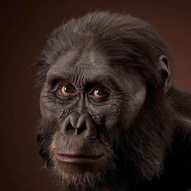 现代动物园内的猿猴,比我们人类的祖先更有思维能力