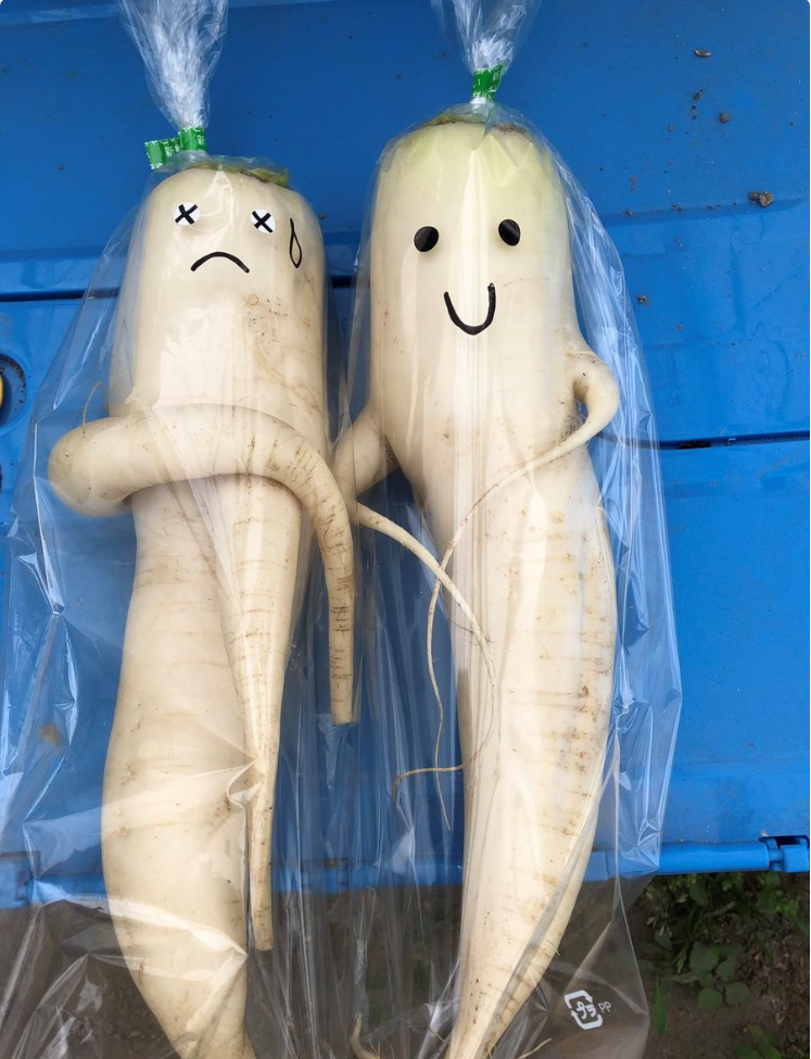 本来卖不掉…天才农夫帮丑丑的白萝卜"加可爱脸" 销量秒飙到傻眼