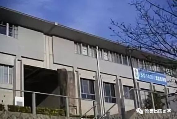 日本留学哪些专业最热门 你想去的学校有这些专业吗 腾讯新闻