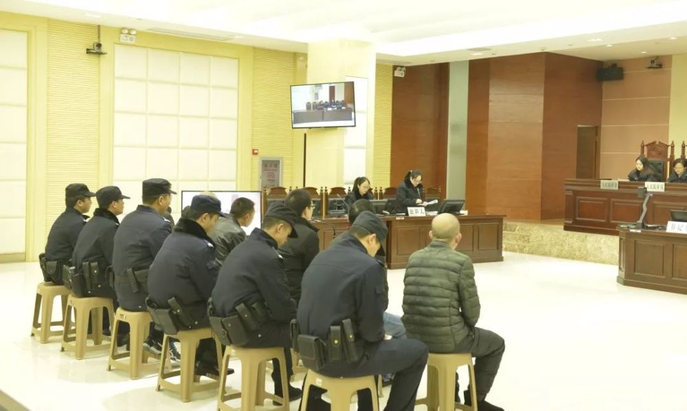 袁勇阳等7人恶势力犯罪集团案件公开庭审
