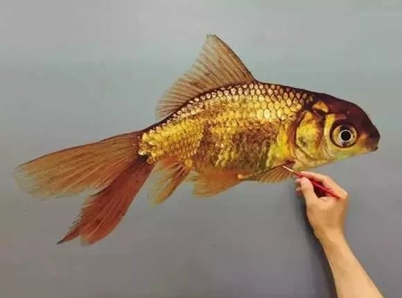 这条金鱼居然是画出来的,你看出来了吗?