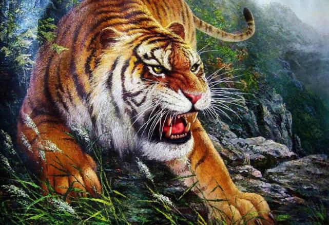 俗语"人到四十五,正是出山虎",古人的忠告,中年人值得一看