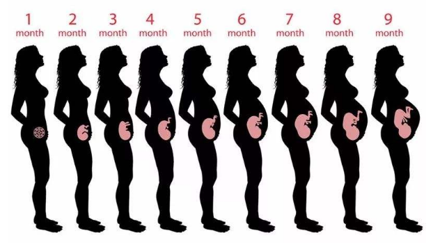 怀孕40周 看 孕妈感受 判断 胎儿发育好坏 孕妈都要了解 孕妈 怀孕 胎儿 胎动 胎儿发育 早孕反应
