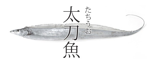 带鱼 刺身 烤 炖我全部都要 腾讯新闻