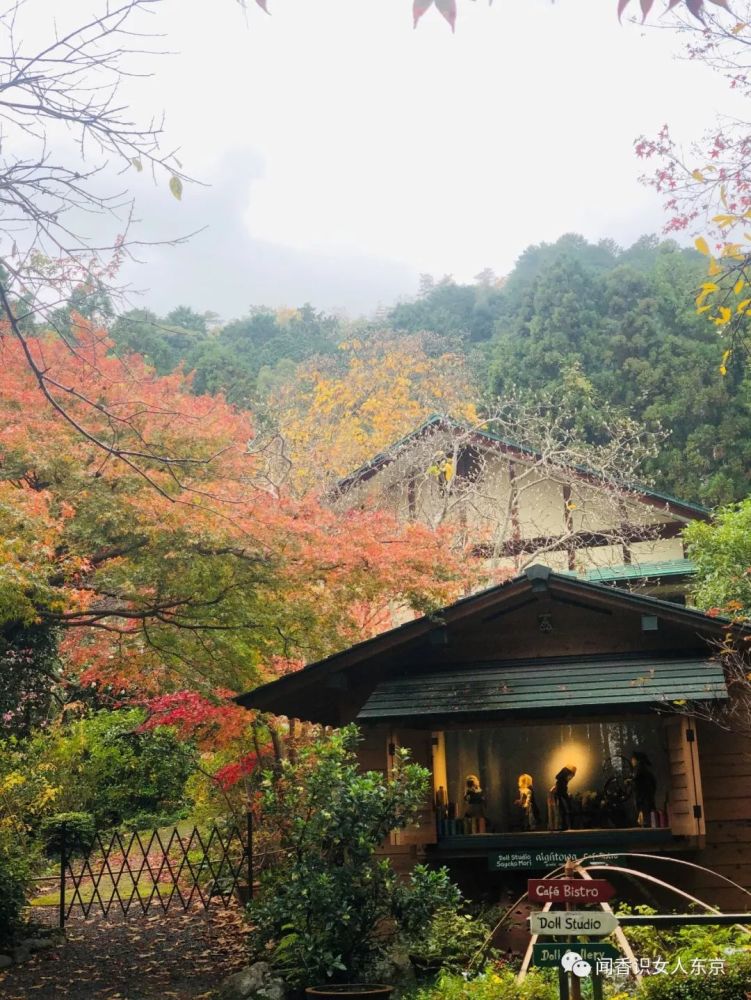 京都长寂光寺赏红叶看多宝塔 如果能登上坡就能看多姿多彩的红叶 腾讯新闻