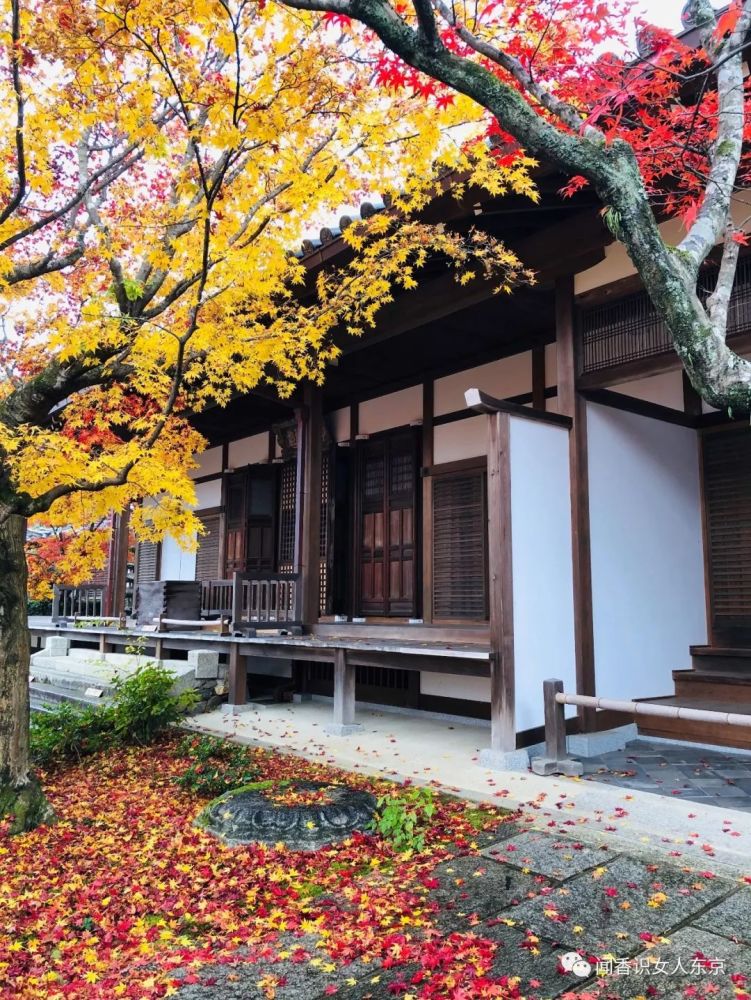 京都长寂光寺赏红叶看多宝塔,如果能登上坡就能看多姿多彩的红叶