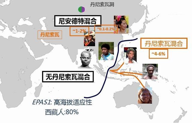 大多数动物都有繁殖季为什么人类没有